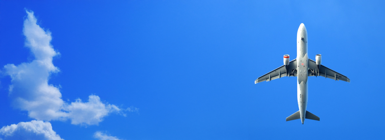 
Success Stories and Testimonials